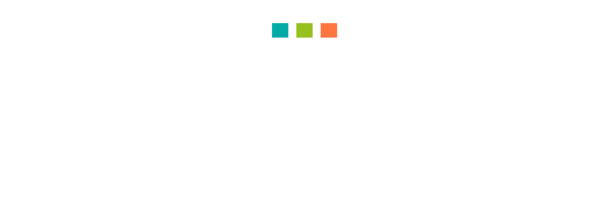 Footer Logo
